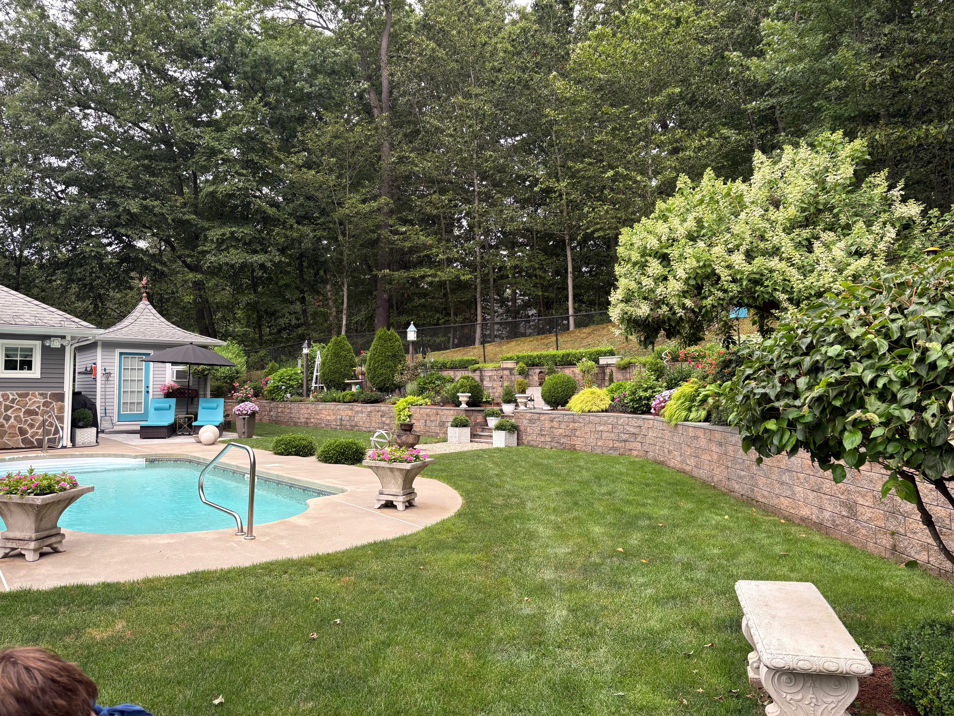 Backyard landscaping with pool, retaining walls, and manicured lawn